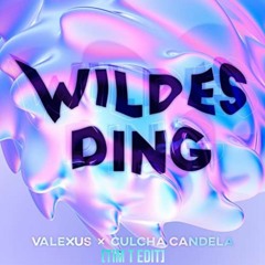 Wildes Ding [Techno/Tekk|Tim T Edit]