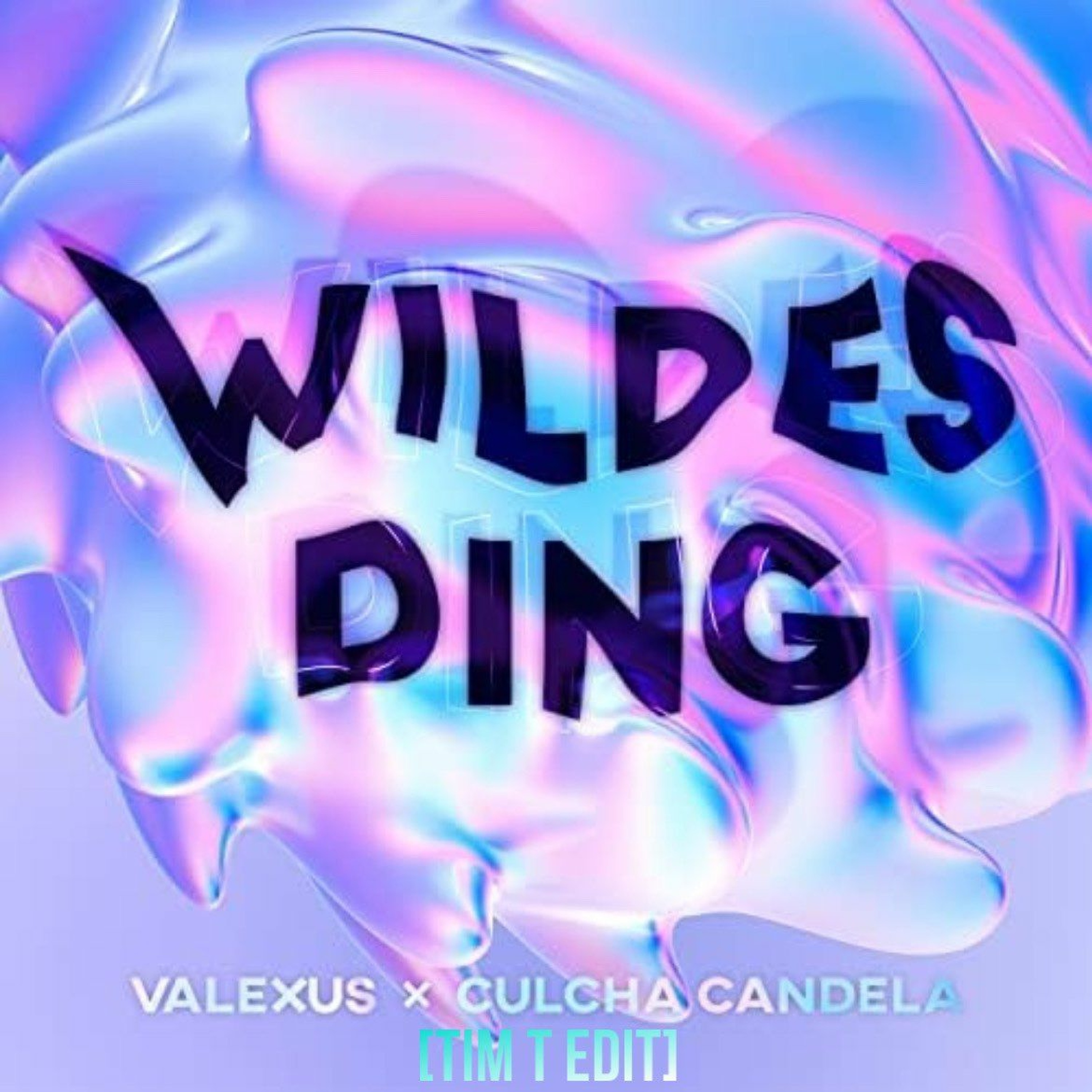 Wildes Ding [Techno/Tekk|Tim T Edit] episode artwork