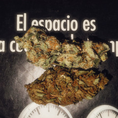 Hot WeeD [unreleased 2022]
