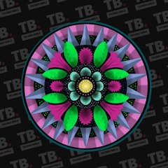 TB Premiere: Classmatic - Bape [Hot Creations]