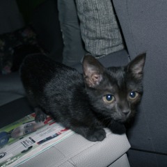 ti fai male e non te ne accorgi