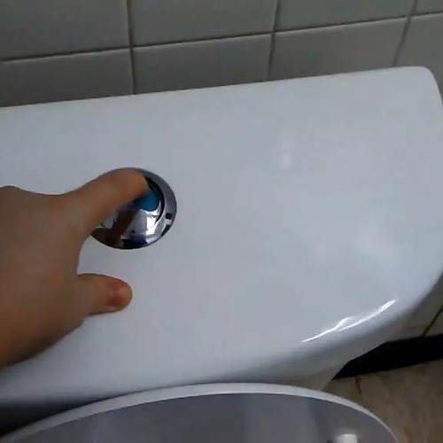 Stream Dual Flush Toilet Pros And Cons by Niki Hopkins Listen online