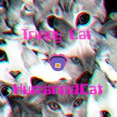 Trippy Cat