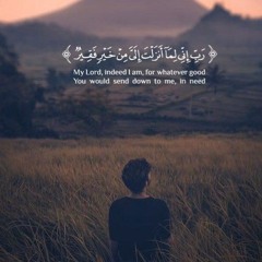 سورة الإنسان فَاصْبِرْ لِحُكْمِ رَبِّكَ وَلا تُطِعْ مِنْهُمْ آثِمًا أَوْ كَفُور