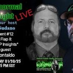 Paranormal Insight - Joe Montaldo - The Flap 2 -UFO UAP Insights