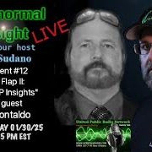 Paranormal Insight - Joe Montaldo - The Flap 2 -UFO UAP Insights