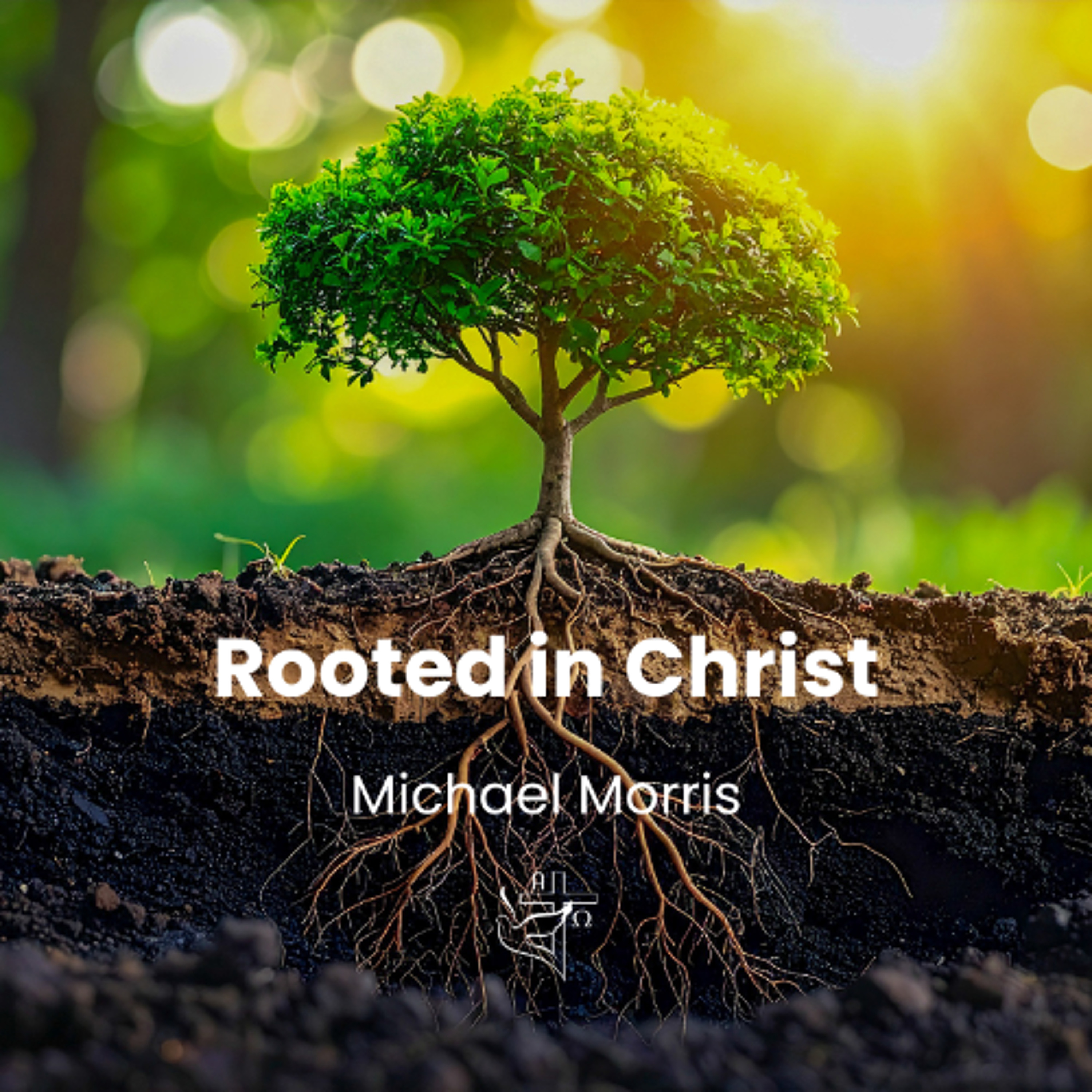 Rooted in Christ episode artwork