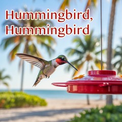 Hummingbird, Hummingbird