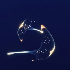 LightWolf - Sky Manta (EP)