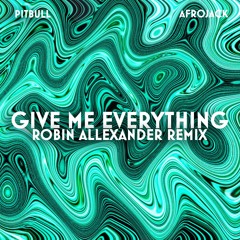 Pitbull & Afrojack - Give Me Everything (Robin Allexander Techno Remix)