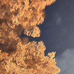 나를 사랑하지 않는 그대에게 (cover)