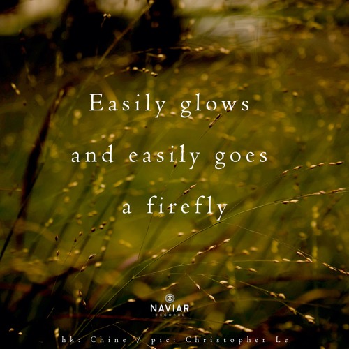 halF gloW [naviarhaiku377]