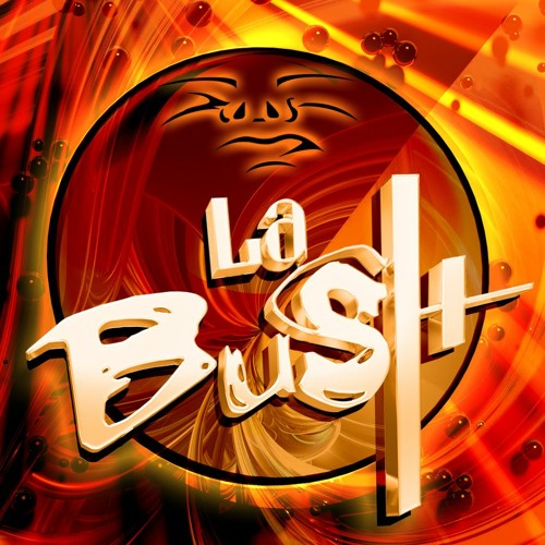 La Bush in a nutshell 25