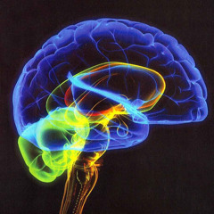 Mind Trip