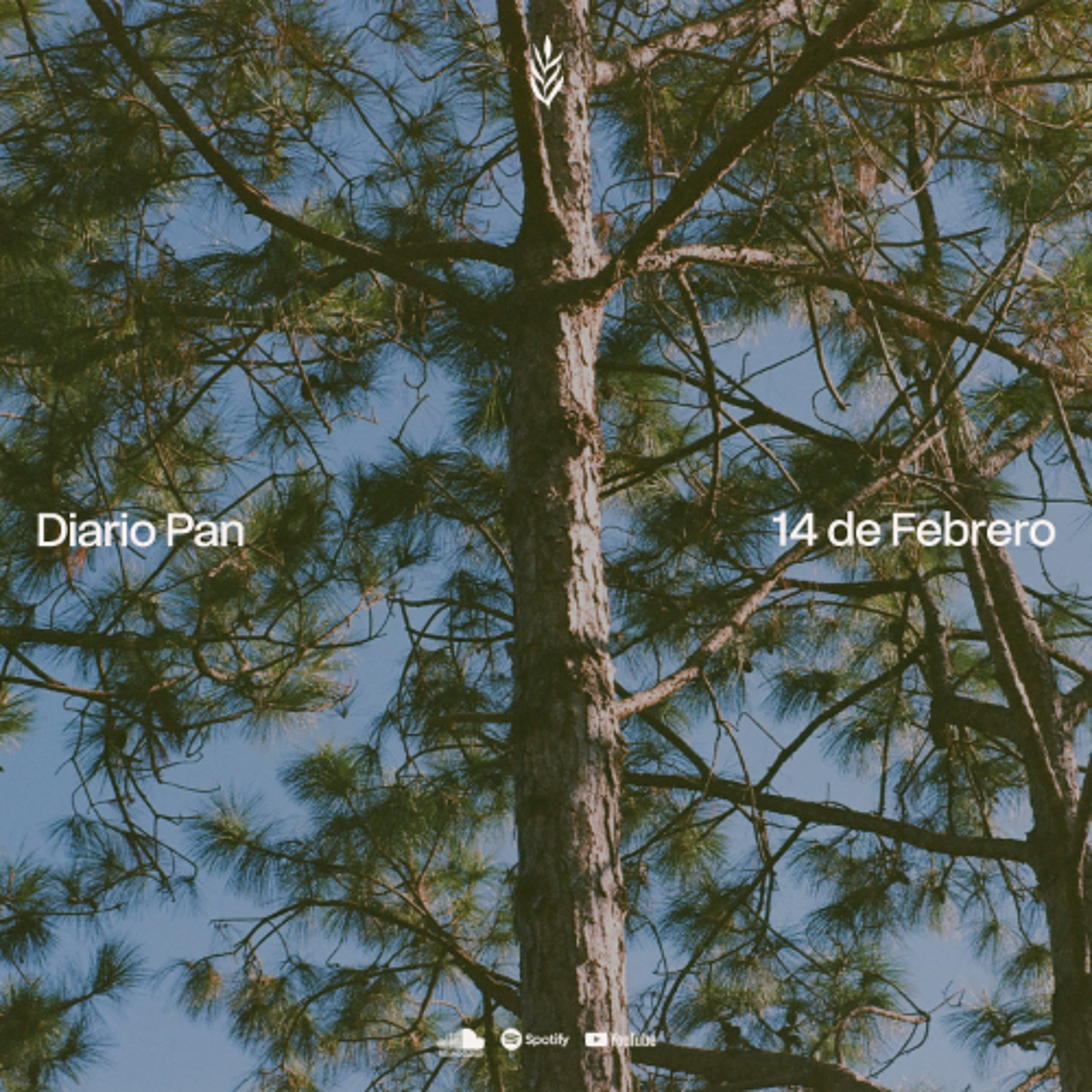 Devocional Diario Pan 14 de Febrero #DiarioPan