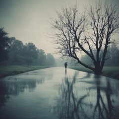 Another Rainy Day