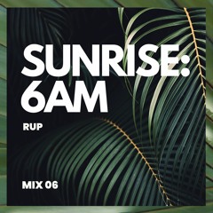 06 - Sunrise: 6am - Diplo, Hugel, Tiesto, Martin Garrix, Liva K & more