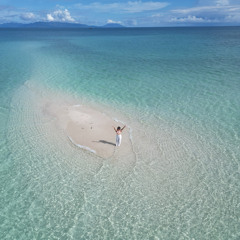 Harmony in the Trees (Acoustic)
