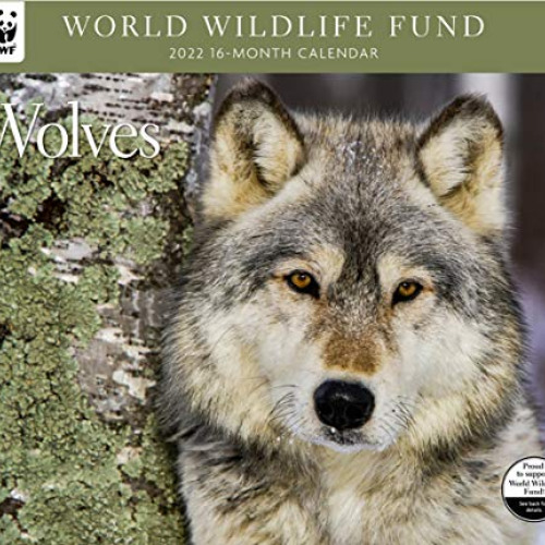 download KINDLE 💛 Wolves WWF 2022 Wall Calendar by  World Wildlife Fund [PDF EBOOK E