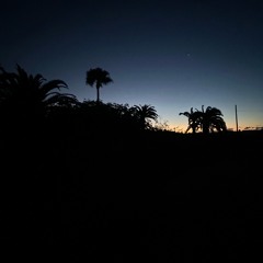 Sunset Dance