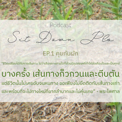 Sit Down Pls : EP1 คุยกับผัก