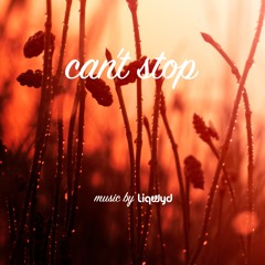Can't Stop (Free download)