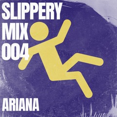 SLIPPERY MIX x Ariana