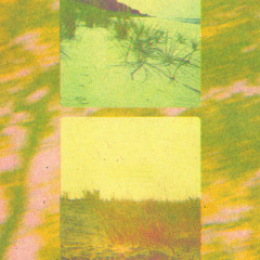 Forest Kuts 001