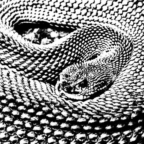 Premiere: Vassago - Sic Infit