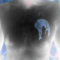 𝔓𝔄ℜ𝔄𝔇𝔒𝔛ℑ𝔄: 𝔖𝔗𝔈𝔓 1