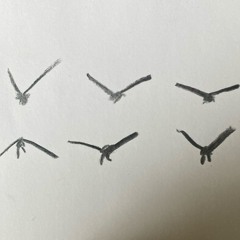 Flutter Through Spring