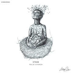 PREMIERE: Felix Ayerza - King of Mess (Original Mix) [Condor Tunes]