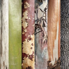 Heritage Hill - Instrumental