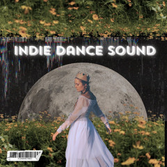 Indie Dance Sound X