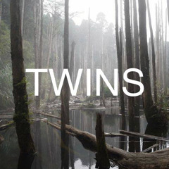 TWINS (ft. NonGrata)
