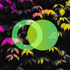 ROZYO, Amethy - Feel My Love (Original Mix)