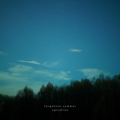 forgotten summer