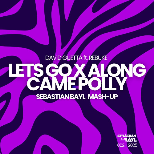 DAVID GUETTA ft. REBUKE - LETS GO X ALONG CAME POLLY (SEBASTIAN BAYL MASH-UP)