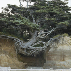 Snakey - The Future Is Jungle 16