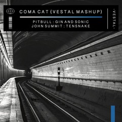 Coma Cat (Vestal Mashup) [Pitbull x Gin and Sonic x John Summit x TENSAKE]