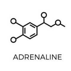 Adrenaline (techno).WAV