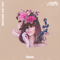 Chaël - Waiting On You (ft. Sky M.)