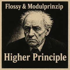 Flossy Beats & Modulprinzip - Higher prinzip / Diggers brothers