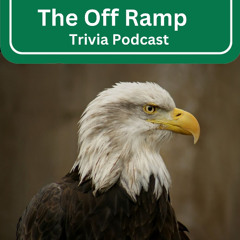 258 Sonic Booms & Eagle Divorces