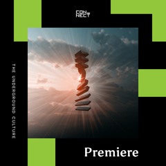 PREMIERE: Teom - Emotion (Max Tenrom Remix) [Audio Perspective]