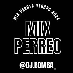MIX PERREO VERANO 2024 NEW AND OLD HITS