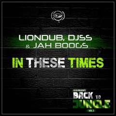 Liondub & DJSS & Jah Boogs - In These Times / Back to Jungle vol.2 LP / clip