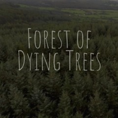 Forest Of Dying Trees ft David Jackson