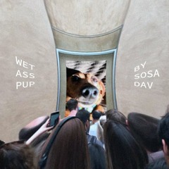 wet ass pup mix