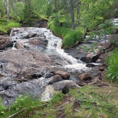 Sarayah Mhonai - Song of my soul.m4a